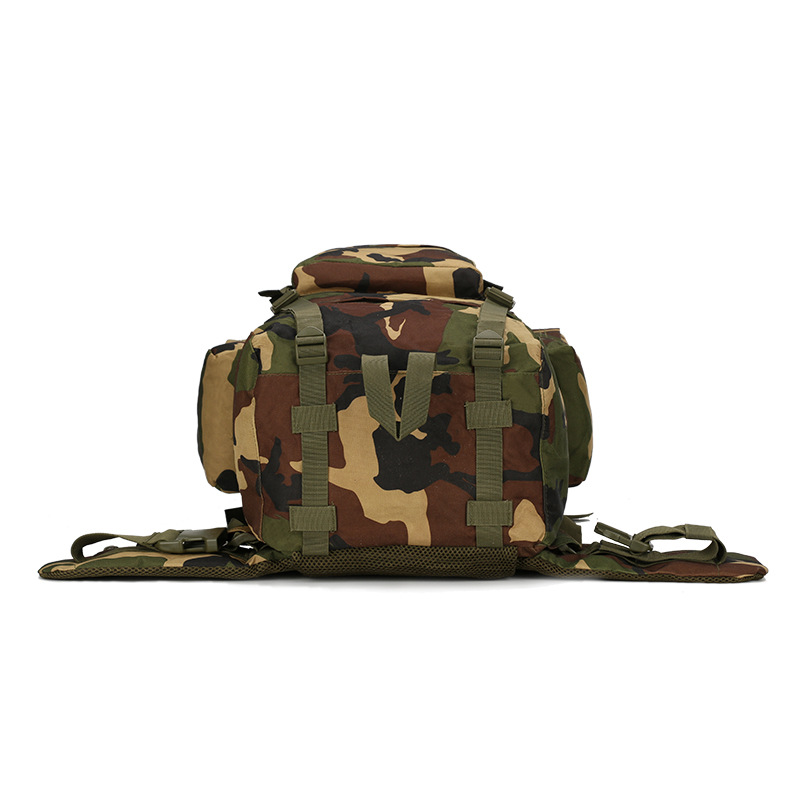 Hiking Backpack Lightweight Ou - đánh giá và giá Lightweight Backpack 65L